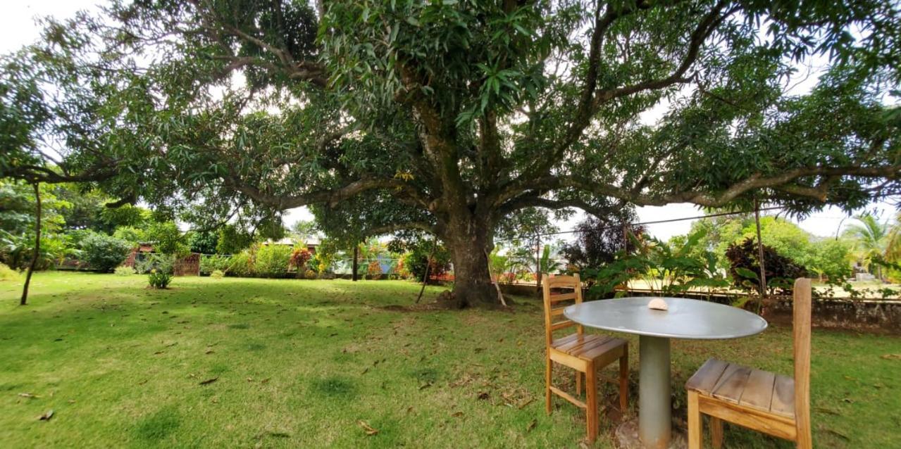 The Little Dream House Apartment Little Corn Island Exterior foto